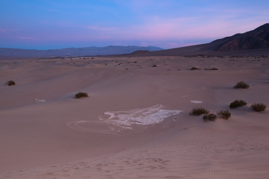 Spirit of Desert
