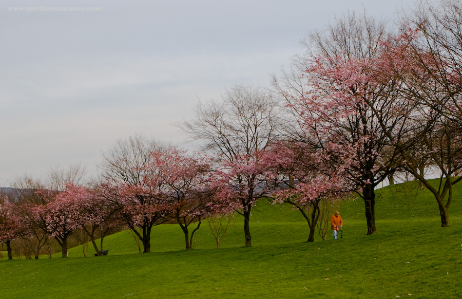 Fr&uuml;hling und Herbst
